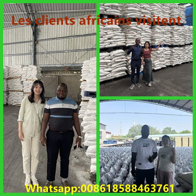 Visite clients internationaux inspection sacs de soude caustique 25kg usine