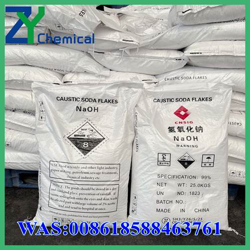 prix de la soude caustique fournisseur en gros prix inférieur